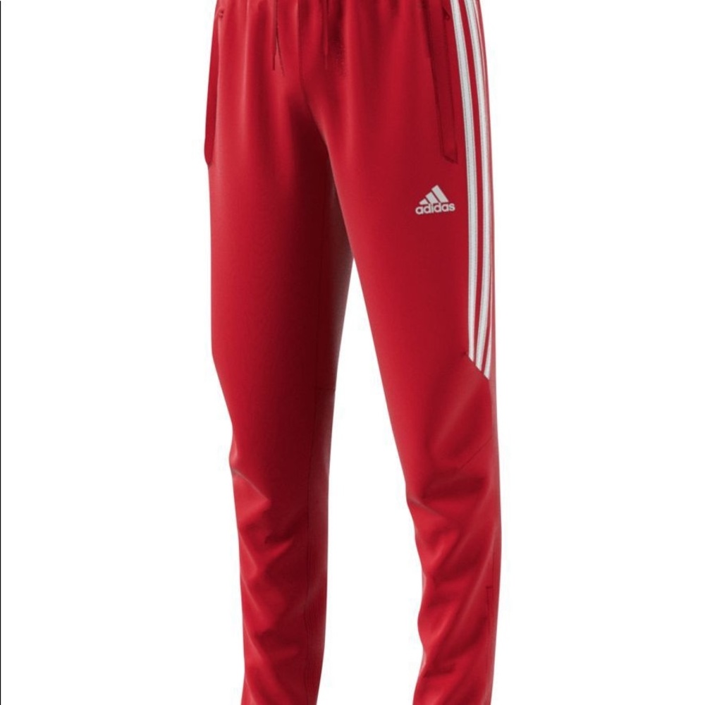 Adidas Tiro 19 Jogger Training Pants